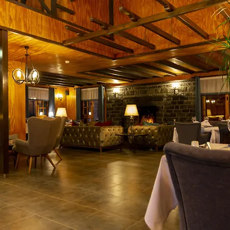 Hotel The Swanpark *