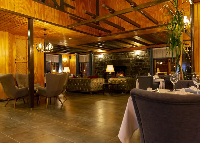 Hotel The Swanpark *