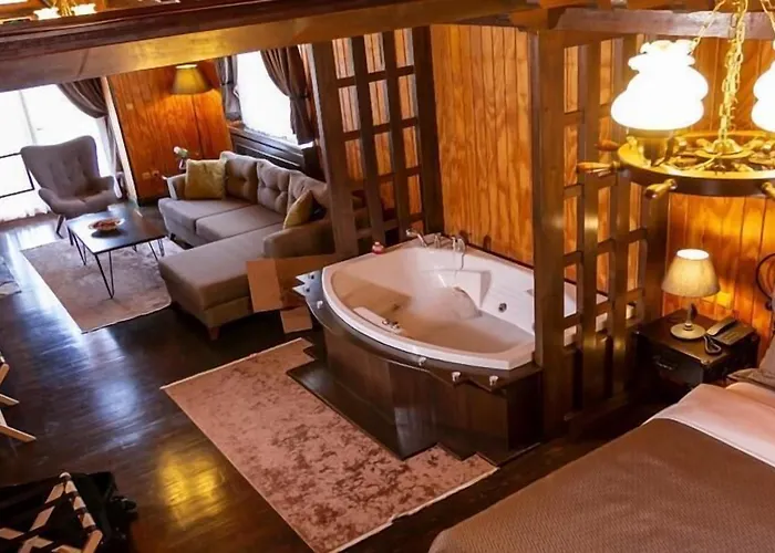 The Swanpark Hotel Ağva