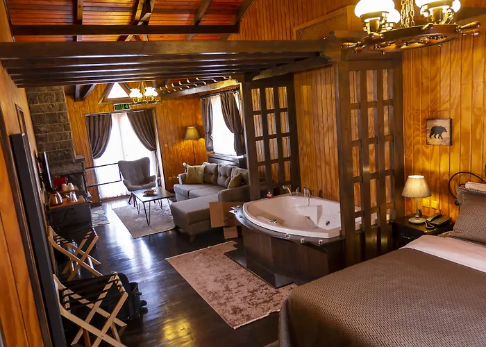 The Swanpark Hotel *