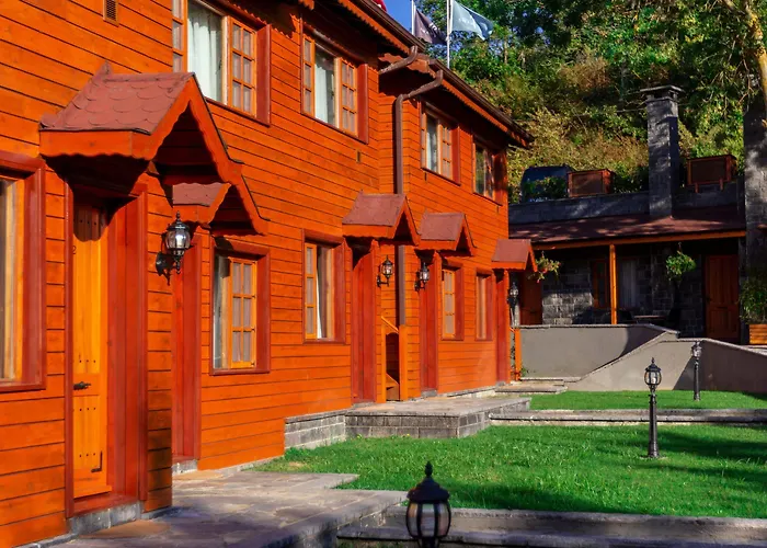 The Swanpark Hotel *